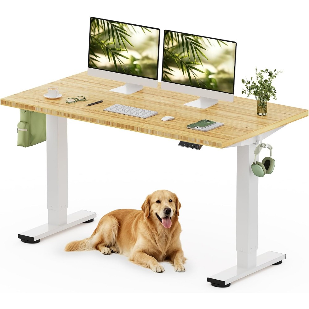 Desk Setup Office - FLEXISPOT 55