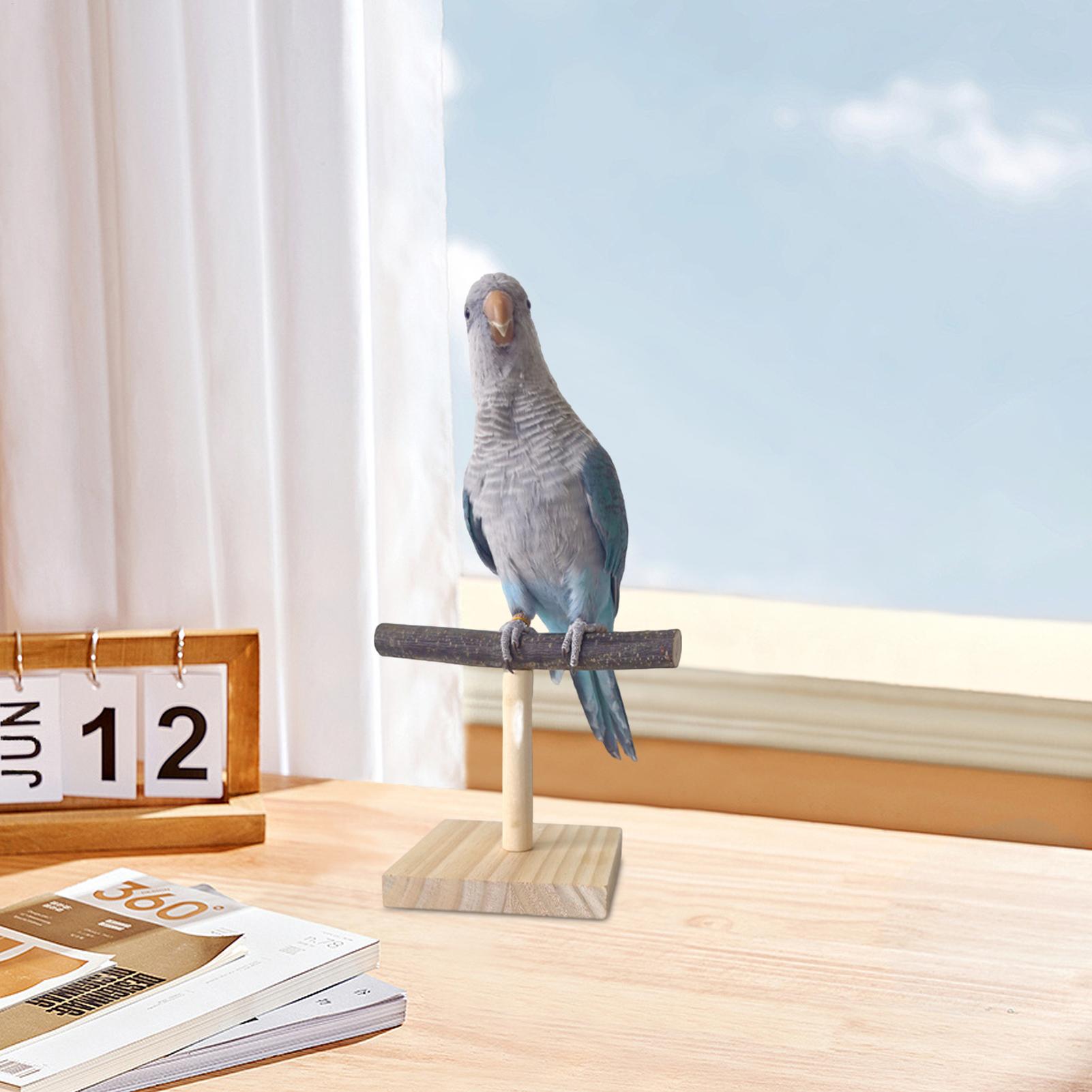 Natural Wood Parrot Perch Stan - Desk Setup Wood ulasan dan harga