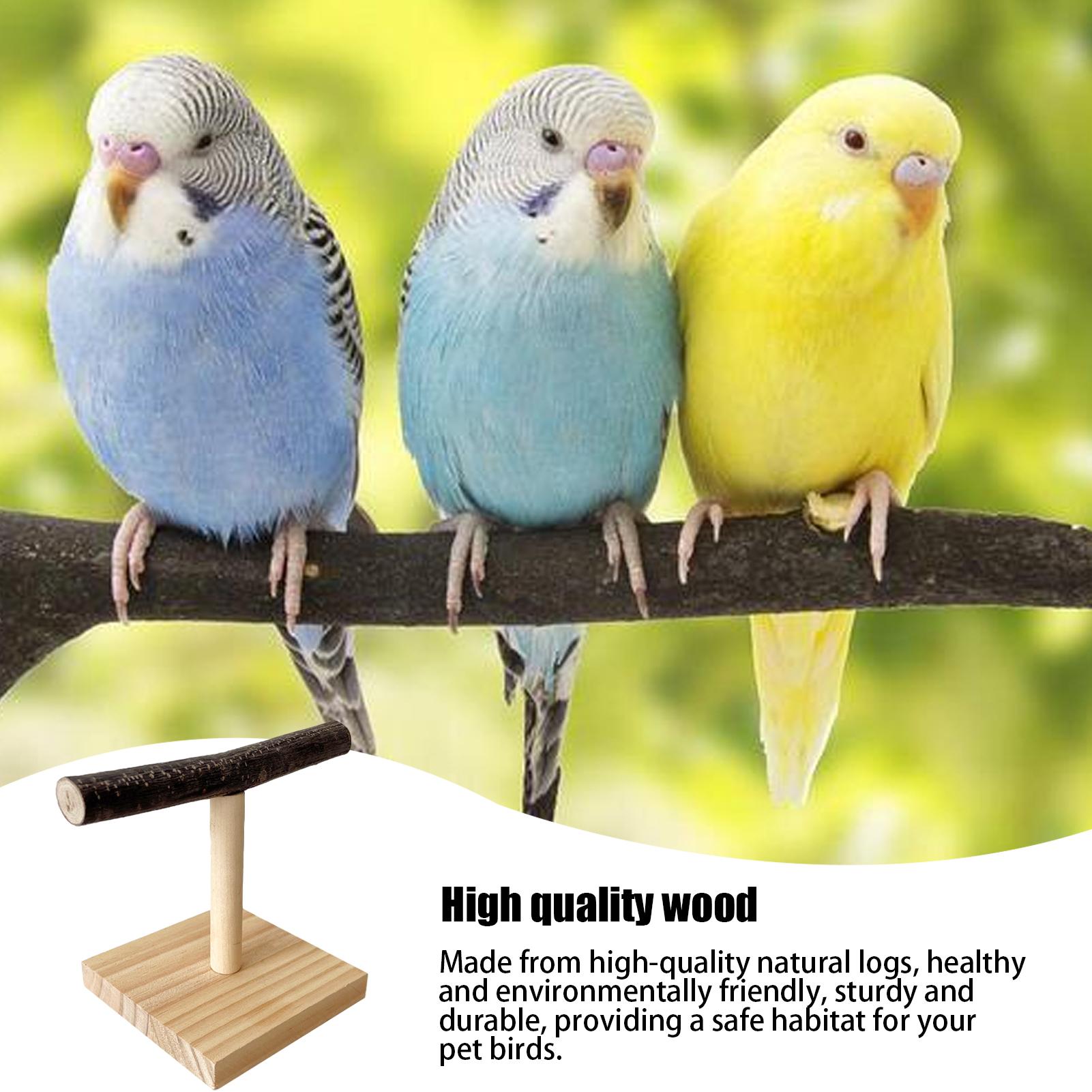 Natural Wood Parrot Perch Stan - Desk Setup Wood ulasan dan harga