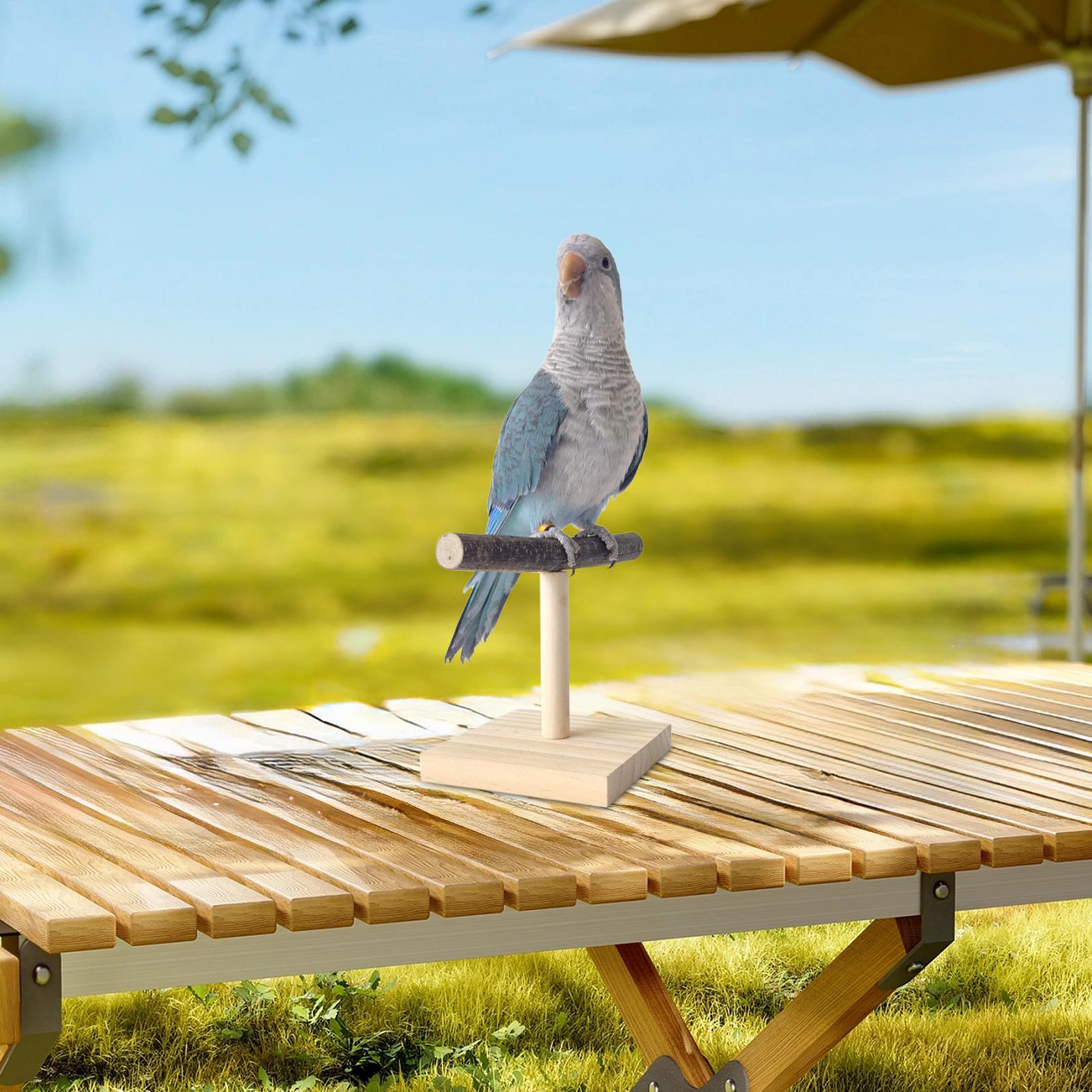 Natural Wood Parrot Perch Stan - Desk Setup Wood ulasan dan harga